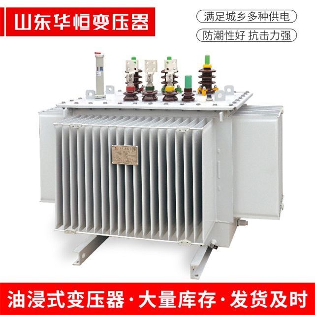 S13-10000/35洛隆洛隆洛隆电力变压器