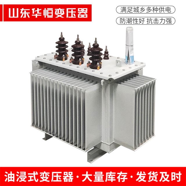 S13-10000/35洛隆洛隆洛隆油浸式变压器厂家